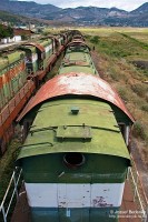 A line of T669 locomotives waiting either to be scrapped or reinstated into use at Prrenjas