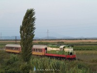 kép
