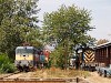 A 431 165 és egy ismeretlen Szöcske a szolnoki járműjavítóban