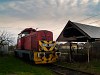 A fura színű M43 1097-es Vésztőn