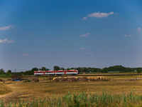 A class 6341 DMU seen between Kistőke and Szentes