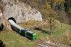 A CFR Calatori 69 0003-4 Gerlistye és Stájerlakanina között