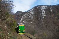 The CFR Calatori 69 0003-4 seen between Ciudanovita and Garliste