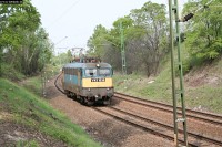 kép
