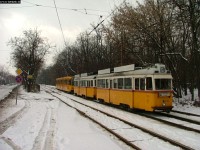 kép
