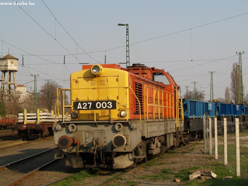 A27 003 kvet vtelez fot