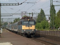 kép