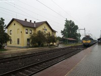 kép