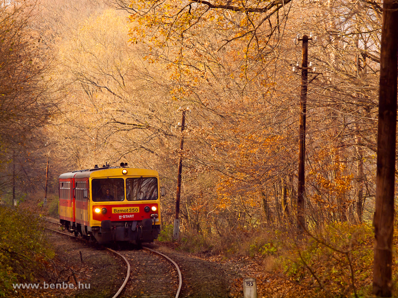 The Bzmot 250 between Szokolya and Berkenye in the autumn forest photo