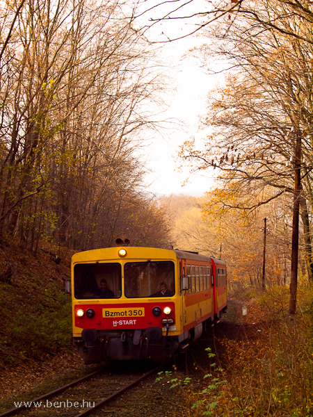 A Bzmot 350 Szokolya s Berkenye kztt az őszi erdőben fot