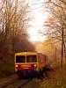 The Bzmot 250 between Szokolya and Berkenye in the autumn forest