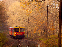 A Bzmot 350 Szokolya s Berkenye kztt az őszi erdőben