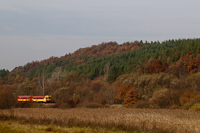 The Bzmot 350 between Berkenye and Szokolya