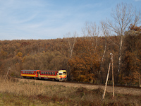 The Bzmot 350 between Berkenye and Szokolya