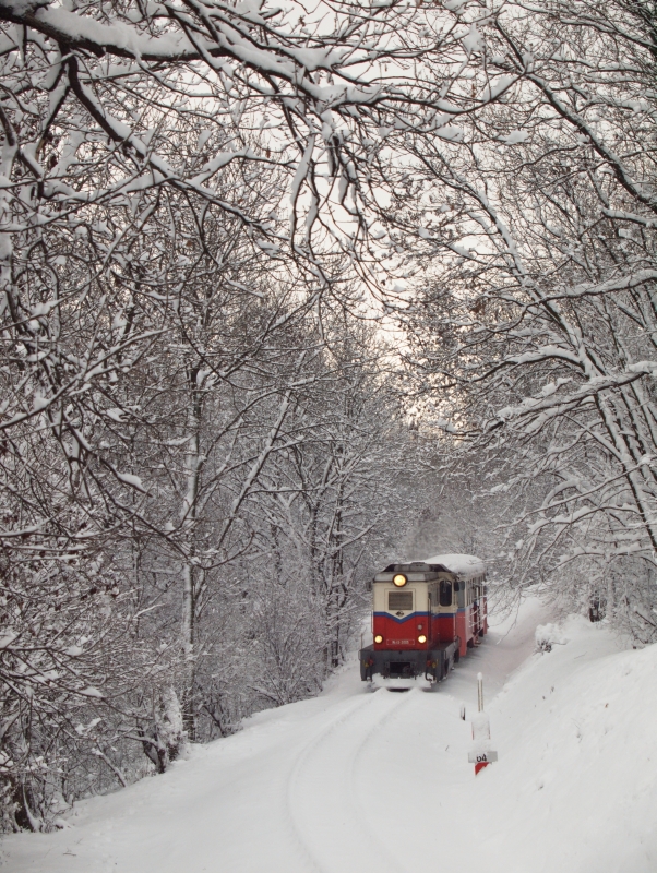Mk45 2005 Szépjuhászné és Vadaspark mh. között fotó