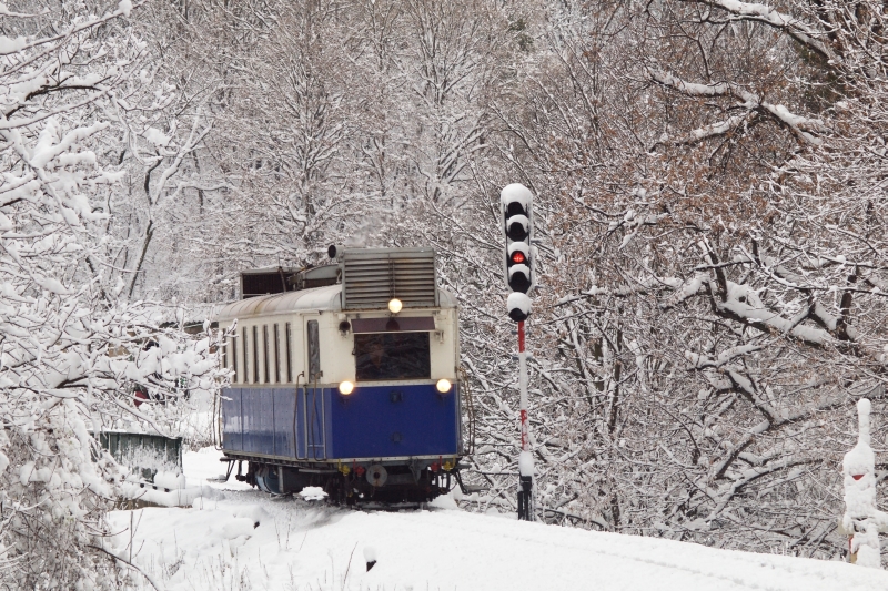 The historic railcar ABamot 2 at Szpjuhszn photo