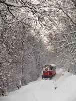 Mk45 2005 Szépjuhászné és Vadaspark mh. között