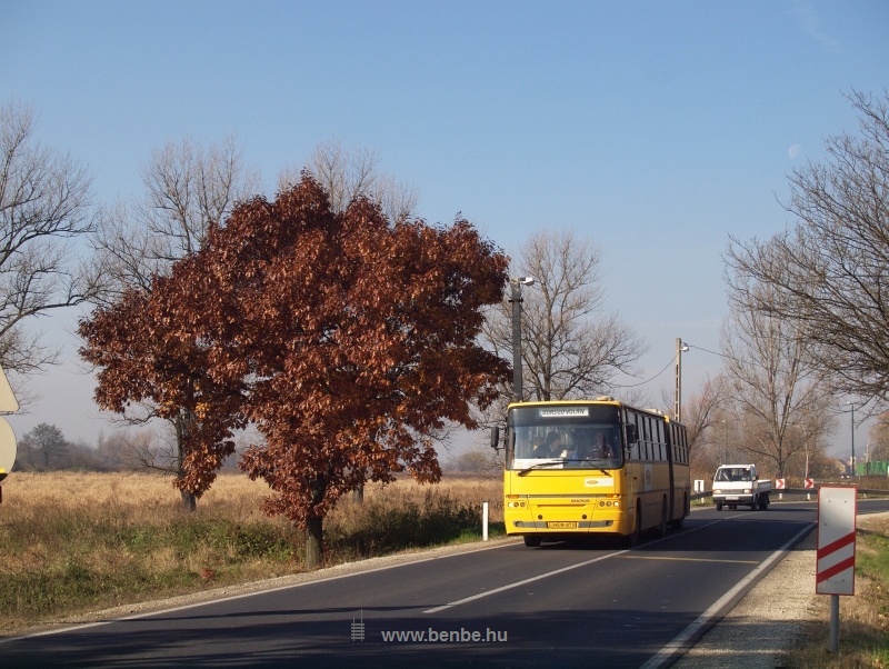 An Ikarus Classic bus at Dubicsny photo