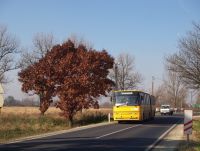 An Ikarus Classic bus at Dubicsny