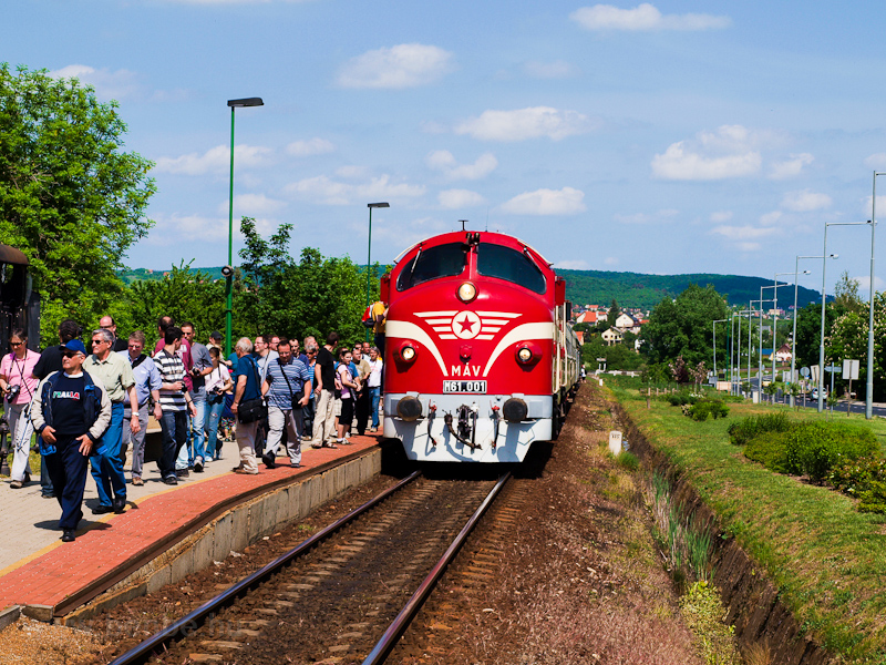 The M61 001 is seen hauling a historic train at Csopak stop photo