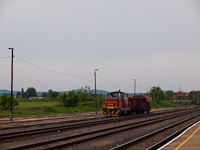 kép