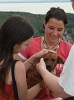 A kind German-Hungarian girl with a puppy at the Szigliget castle