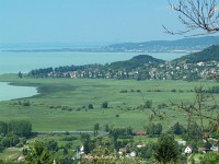 The M41 2331 between Badacsonylábdihegy and Badacsonytördemic-Szigliget with the Lake Balaton in the background