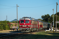 kép