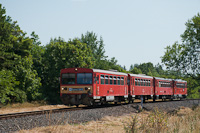 kép