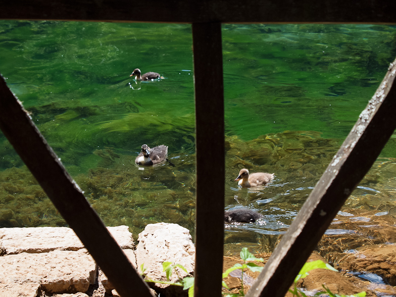The springs of the river Bosna (Vrelo Bosne Park) nexto to Sarajevo photo
