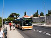 Buses at Dubrovnik