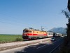 A ŽCG 461-035 Virpazar és Vranjina között