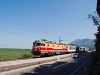 The ŽCG 461-035 seen between Virpazar and Vranjina at the coast of Lake Skadar