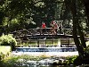 A Boszna folyó forrása, a Vrelo Bosne Park Szarajevo mellett