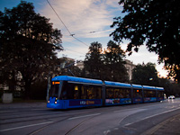 German trams