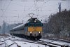 A MÁV-START 431 117 Kőbánya-Kispest és Pestszentlőrinc között egy Szegedre tartó Napfény InterCity-vel