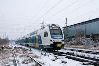 kép