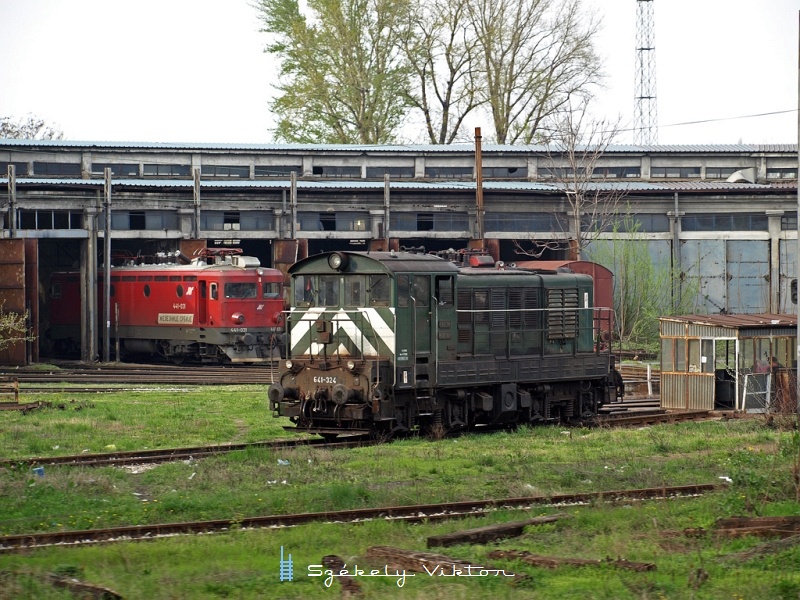 Már haza indulunk kicsiny személyvonatunkkal, hogy Szabadkán legyen még egy kis időnk a Belgrad-exprssz előtt. kép 641-324 és 441-031 Belgrádban fotó