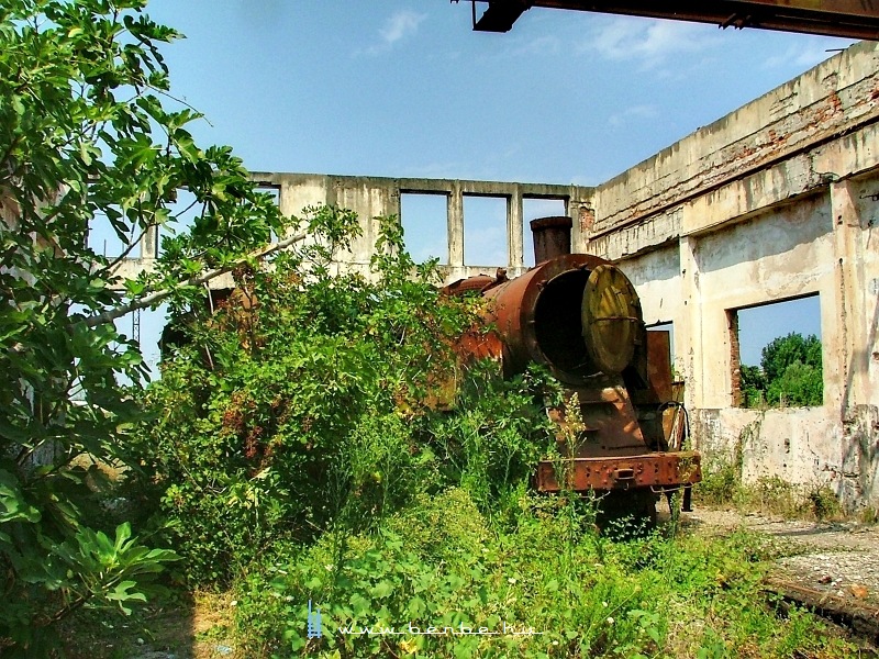 Gőzös fotó