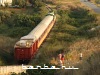 T669 1044 Rrogozhine és Dushk között