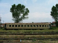 kép