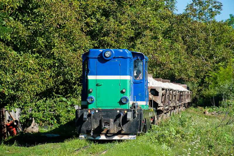The CFI Govora 087 0052-3 seen between Tomsani and Foleștii de Sus photo