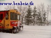 Havas fenyk, Bz-vel (Bzmot 297)