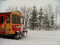 kép