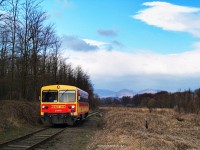 The Bzmot 243 between Disjen and Tolmcs