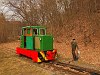 The C50 3756 of the Nagybrzsny Forest Railway seen at Kirlyrt station on the photo charter after it was refurbished at the Kirlyrt Forest Railway's workshop at Paphegy