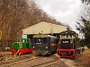 The C50 3756 of the Nagybrzsny Forest Railway, the M06-401 <q>Toby</q> and the Mk48 2017 of the Kirlyrti Erdei Vast seen at Paphegy on the photo charter after it was refurbished at the Kirlyrt Forest Railway's workshop at Paphegy