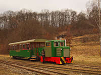 The C50 3756 of the Nagybrzsny Forest Railway seen at Hrtkt station on the photo charter after it was refurbished at the Kirlyrt Forest Railway's workshop at Paphegy