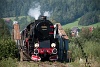 The PKP Ty42 24 seen between Rabka Zaryte and Mszana Dolna