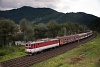 The ŽSSK 363 101-7 seen between Hrboltov and Ruzomberok-Rybrpole